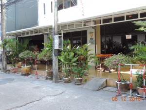 растения Таиланд