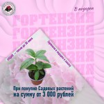 ГОрта--подарок