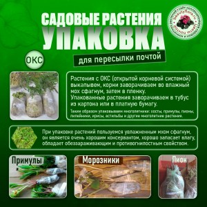 упаковка растений