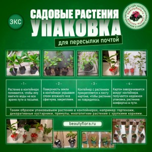 упаковка растений