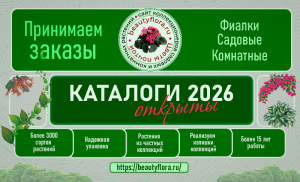 Каталог 2026