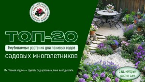 Шапка-рассылки-20