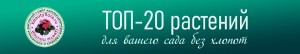ТоП-20 растений