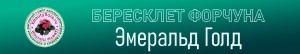 Бересклет форчуна