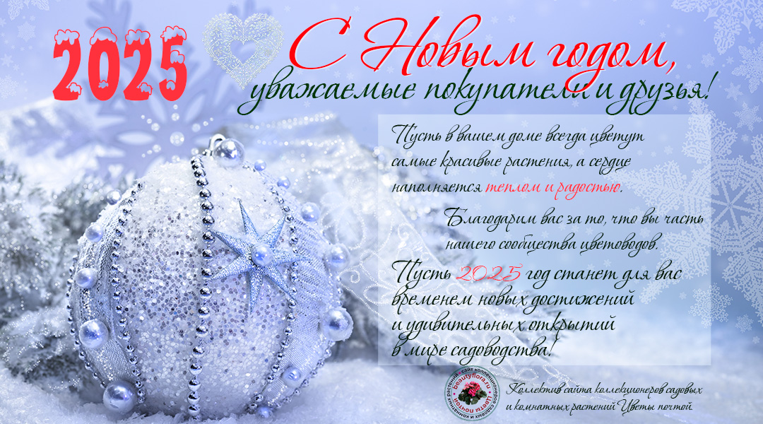 Фиалка, комнатные цветы, цветы почтой, растения почтой, садовые ...