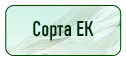 кнопка