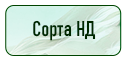 кнопка