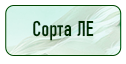 кнопка