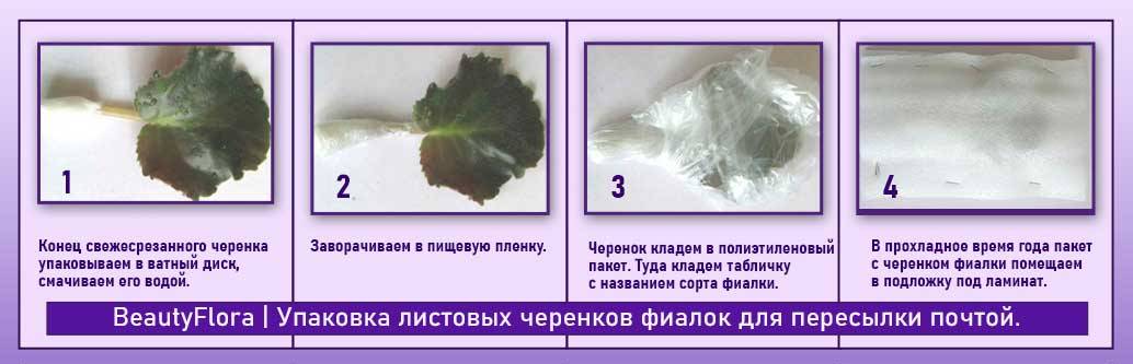 упаковка