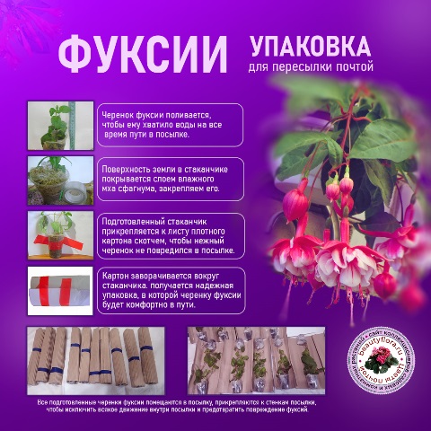 упаковка