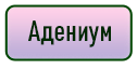 кнопка