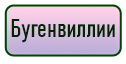 кнопка