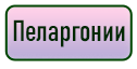 кнопка