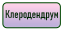 кнопка