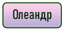 кнопка