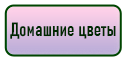 кнопка