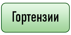 кнопки