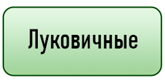 кнопка