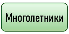 кнопка