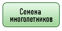 кнопка