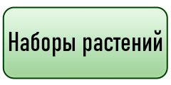 кнопка
