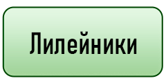 кнопка