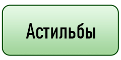кнопка
