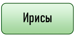 кнопка