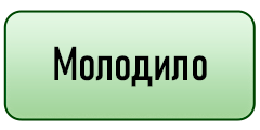 кнопка
