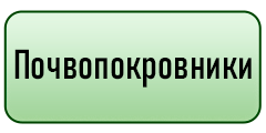 кнопка