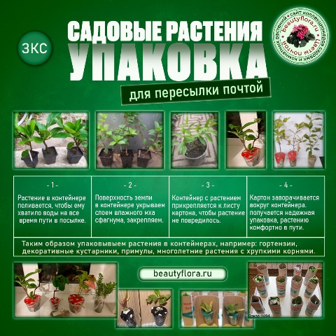 упаковка ЗКС