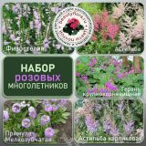 Набор розовых многолетников