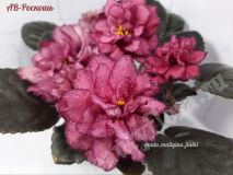 Фиалка АВ-Роскошь, детка